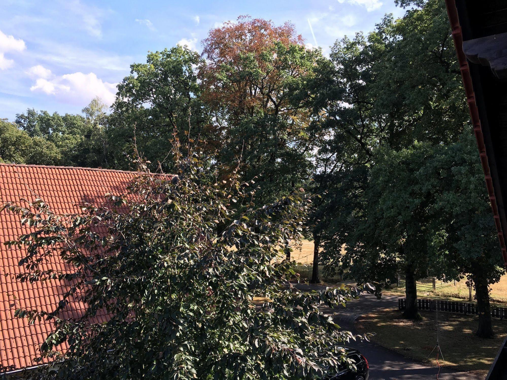 Hövelhof Landhaus Hotel Goeke מראה חיצוני תמונה