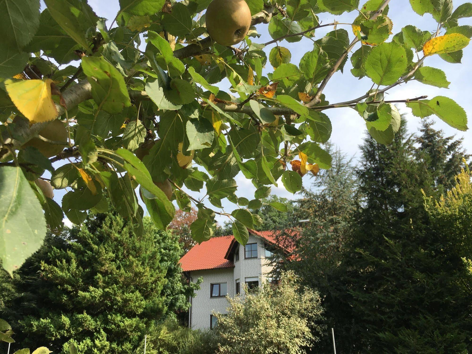 Hövelhof Landhaus Hotel Goeke מראה חיצוני תמונה
